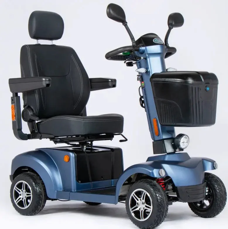 Aktiv Deutschland Elektromobil Massey – view 6